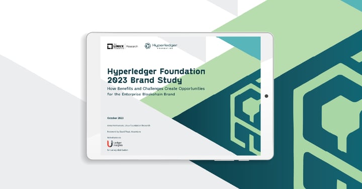 Current Perceptions and Future Possibilities for the Enterprise Blockchain Space: Insights from the Hyperledger Foundation 2023 Brand Study