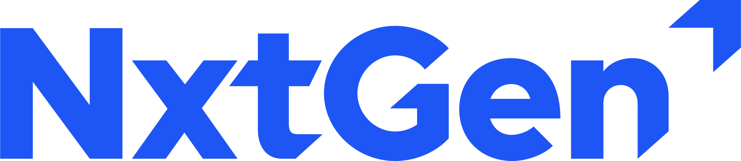nxtgen_cloud_technologies logo